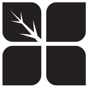 Design Concepts